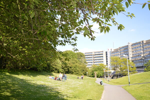 Campus Oefenplein - ULB-VUB