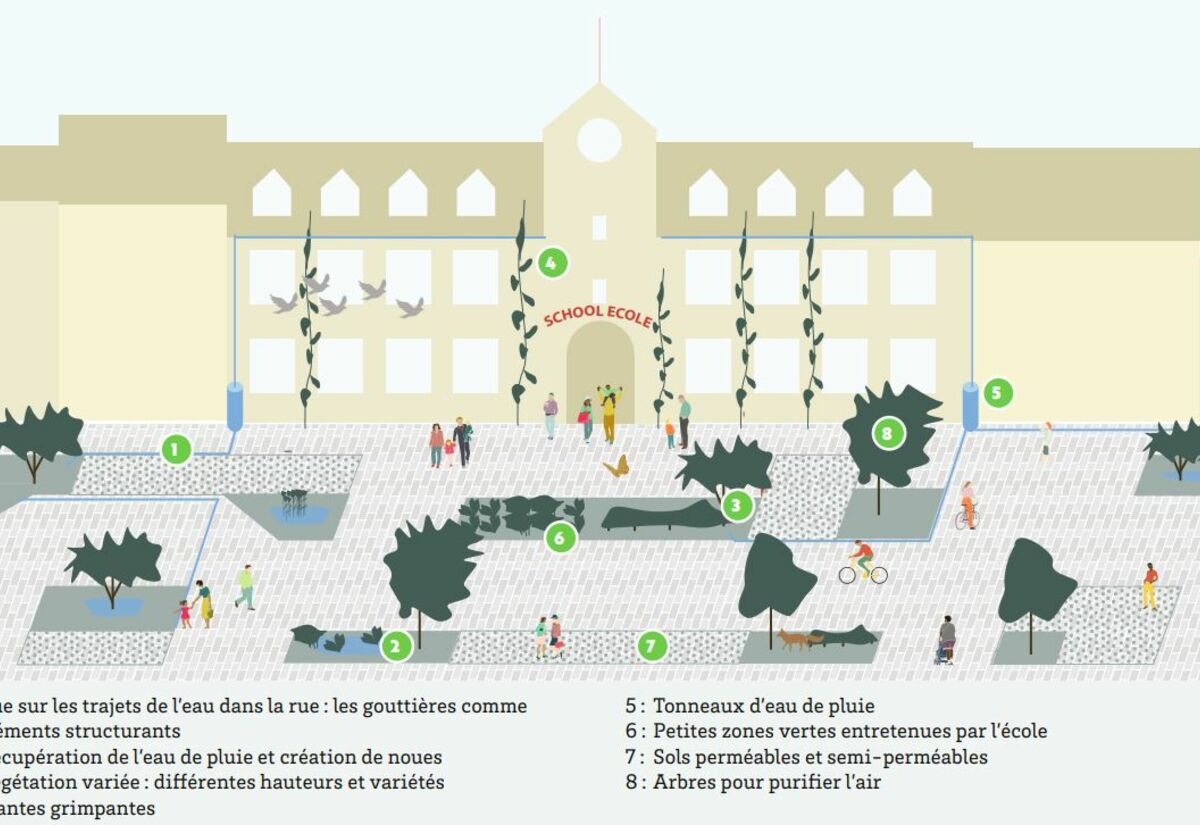 Exemple d'aménagements possibles pour créer un abord d'école vert et sain