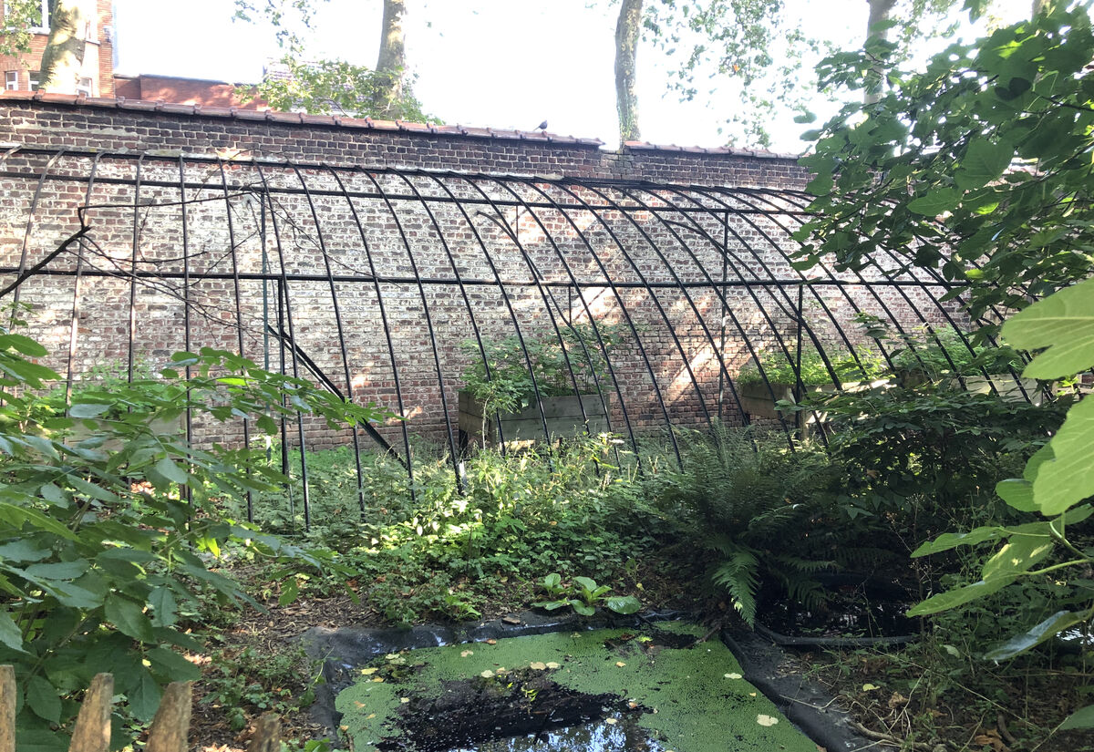 La serre de l’école Sint-Ursula en 2021 