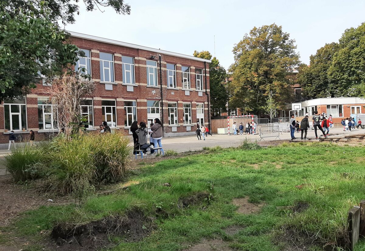 École 1 La rose des vents 