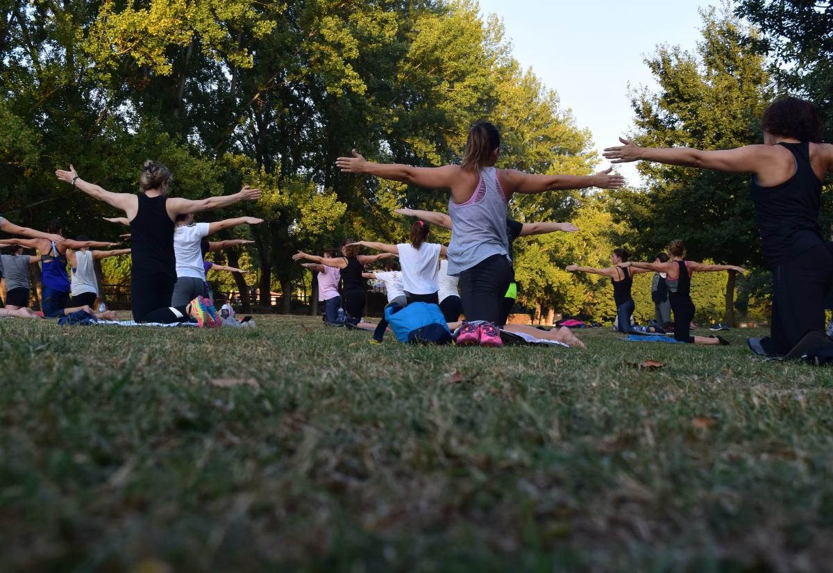 Calme et détente dans le parc